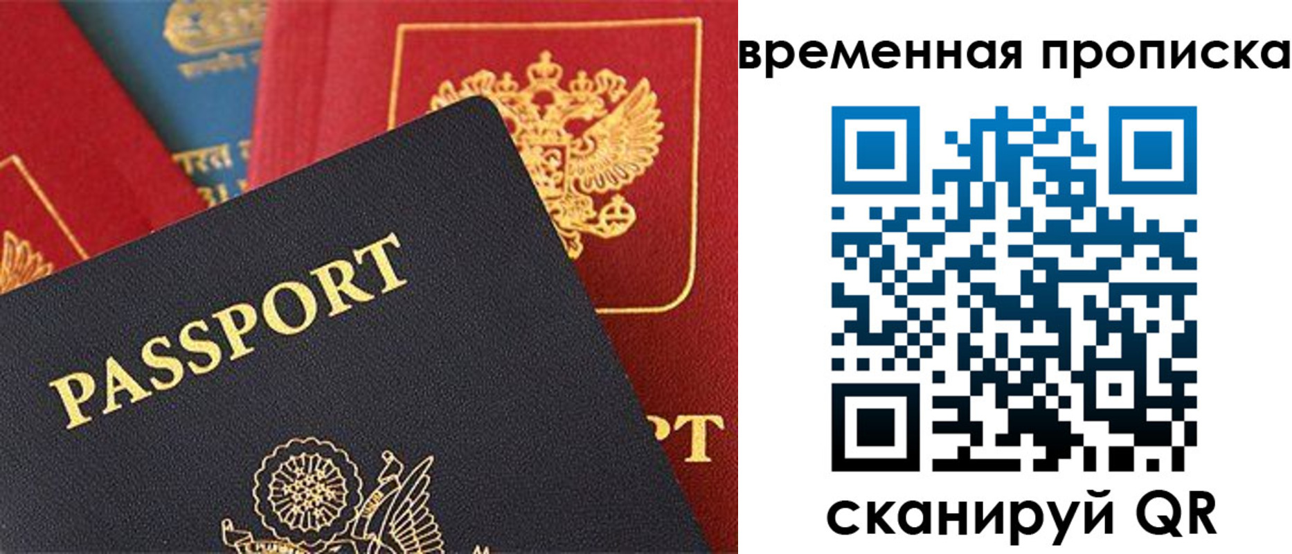прописка для школы в Курске